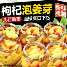 ��������N������۽�ѿ�ݲ����۽�������۽�ѿ��������һ�����l