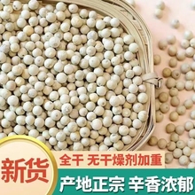 海南白胡椒正宗海南农家自种家用白胡椒粒100g精选香料粒大饱满