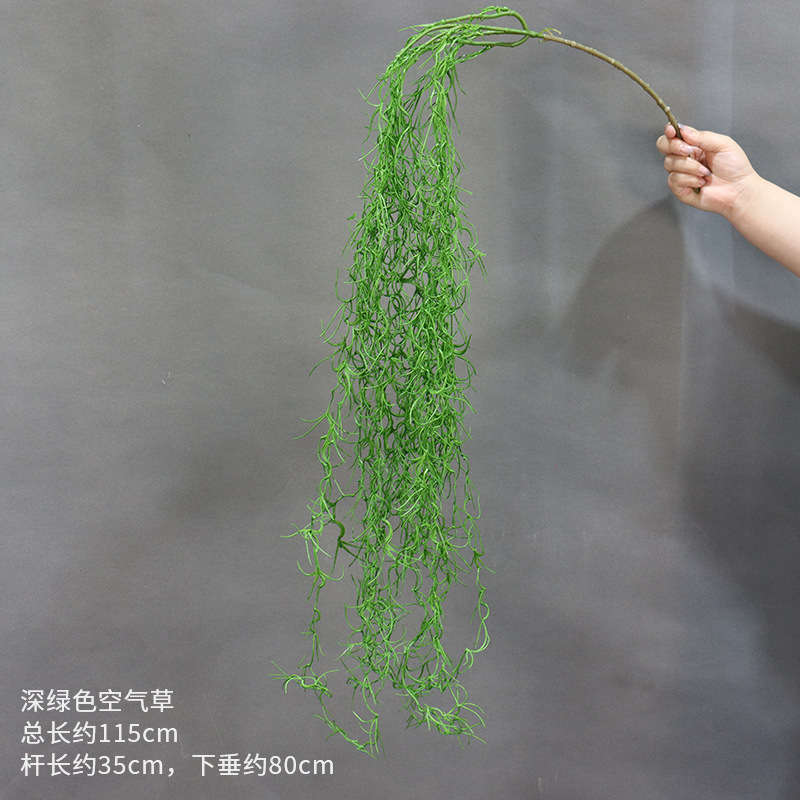 짙은 녹색 공기풀의 가지