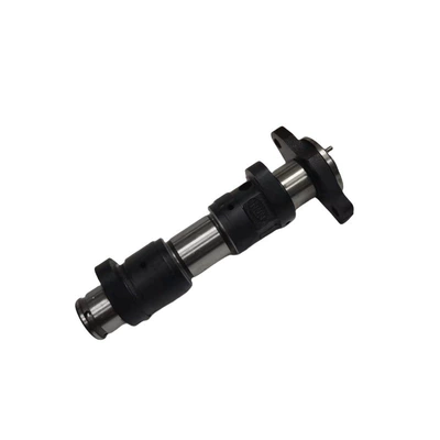Grizzly660 YFM660 XT660 – Crankshaft, camshaft