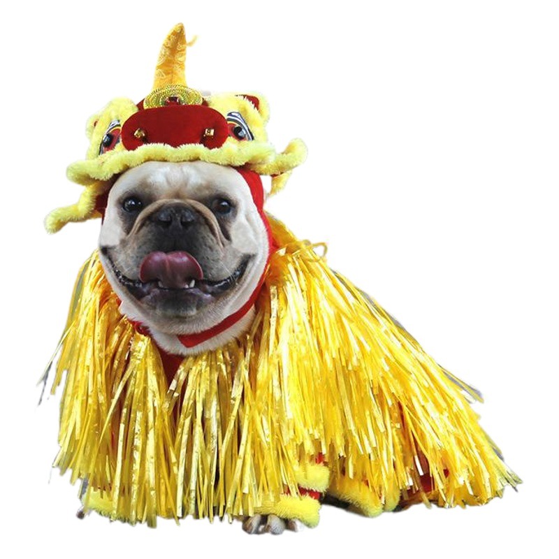 Transformación de Año Nuevo traje jizai suministros para Mascotas Fábrica Año Nuevo ropa de León estilo chino cubo francés Ropa de baile de León