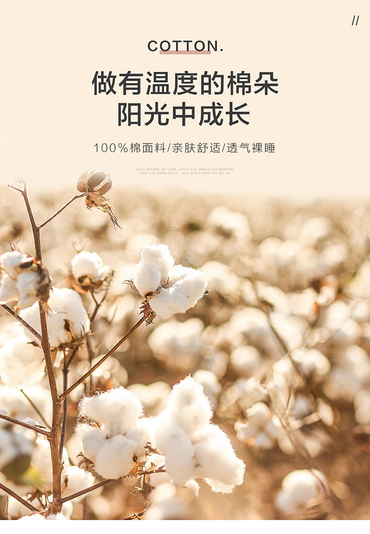 磨毛_07.jpg