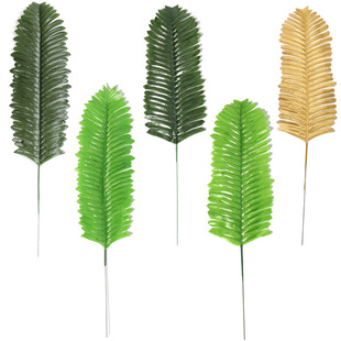 �羳���������F���~ �����Ɍ��b�؈ץ������沼�F�~