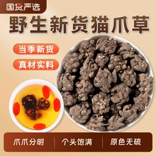 野生干猫爪草泡水可搭夏枯草蒲公英郁金干货猫爪草中药材可散结