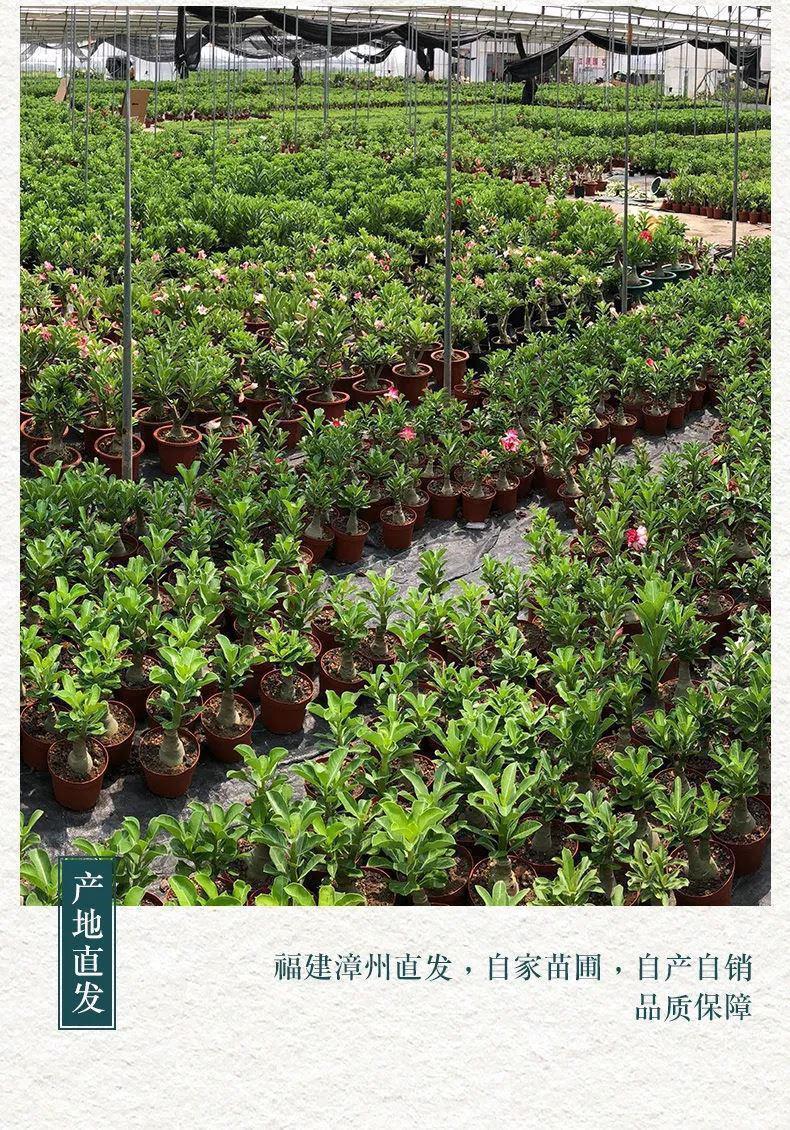 6a2f4266-a558-48ef-a54c-e5277dfcf73e.jpe