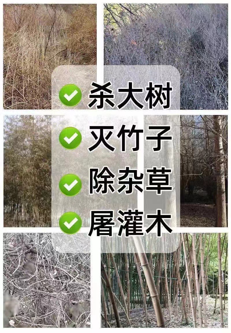 微信图片_20230314132232