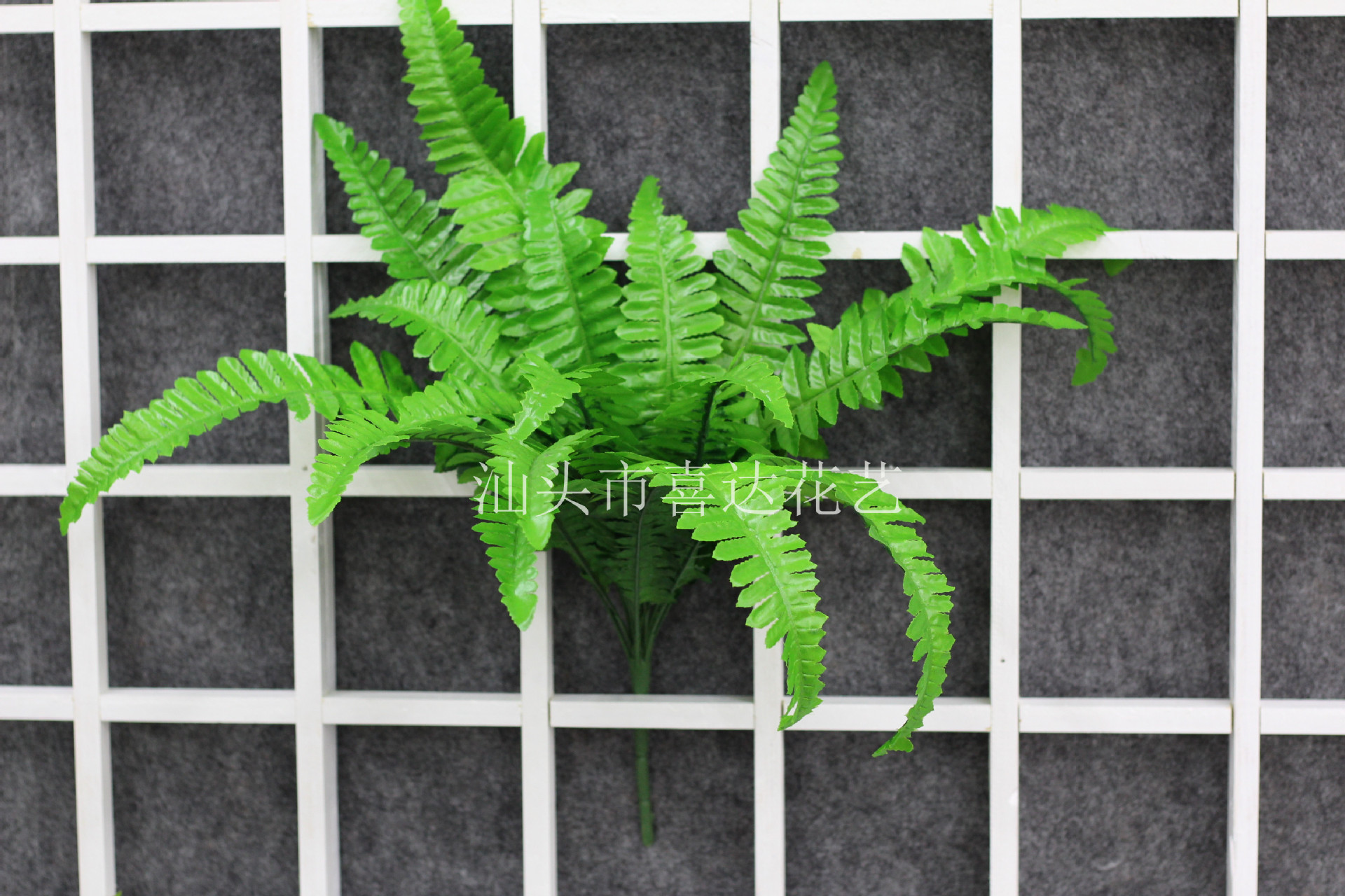 仿真蕨類植物波斯葉 波斯草婚慶綠植工程背景墻裝飾配材配草