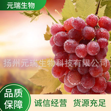 �S�ҹ���������ȡҺֲ��ˮ����ȡҺ���yƷˮ��������������ȡ��