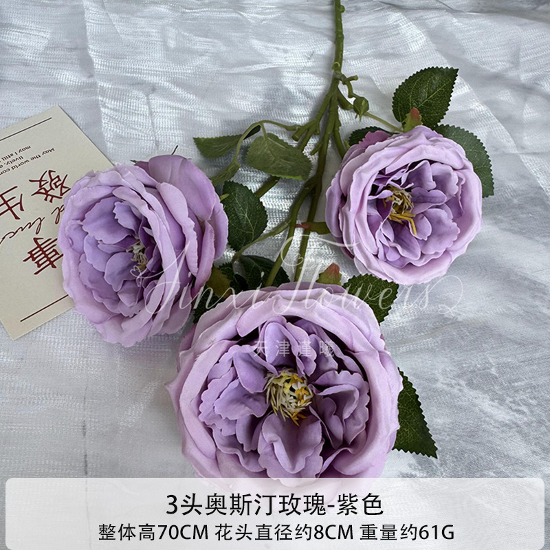 보라색