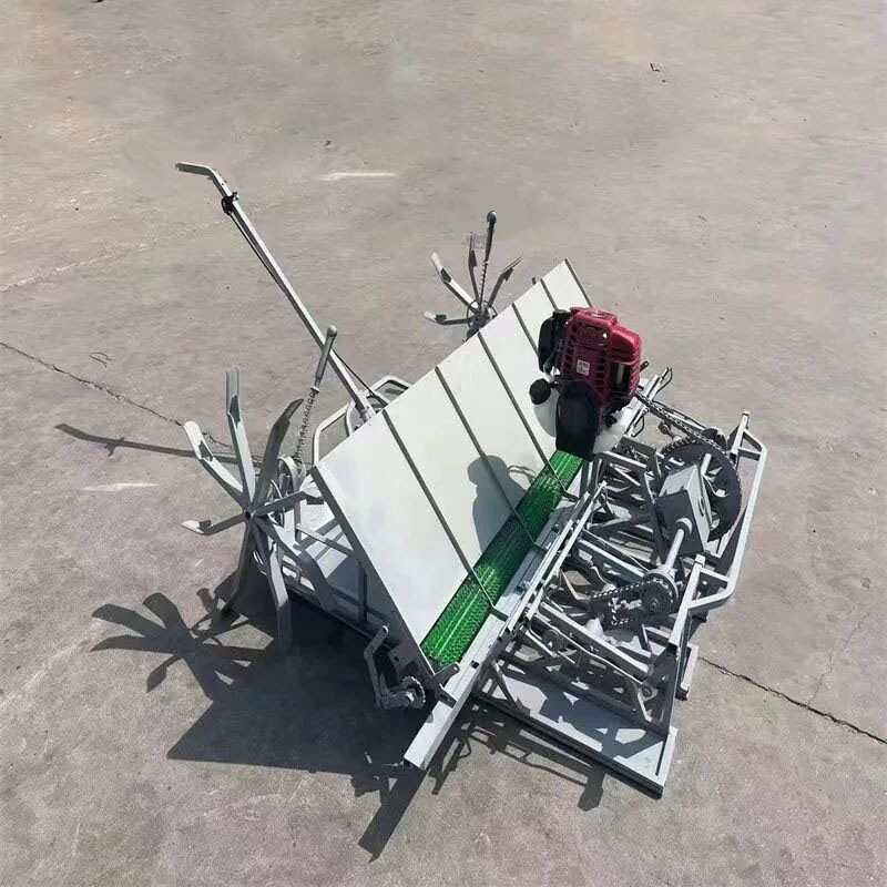 手扶步进式水稻插秧机四冲程缸汽油水稻种植机自动秧苗栽种机