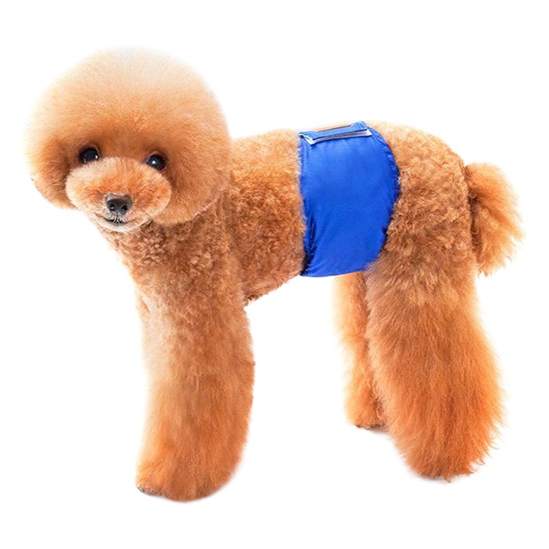 Creativo nuevo color sólido perro mascota pantalones fisiológicos perro cinturón de cortesía anti-acoso cachorro pantalones de seguridad fábrica al por mayor