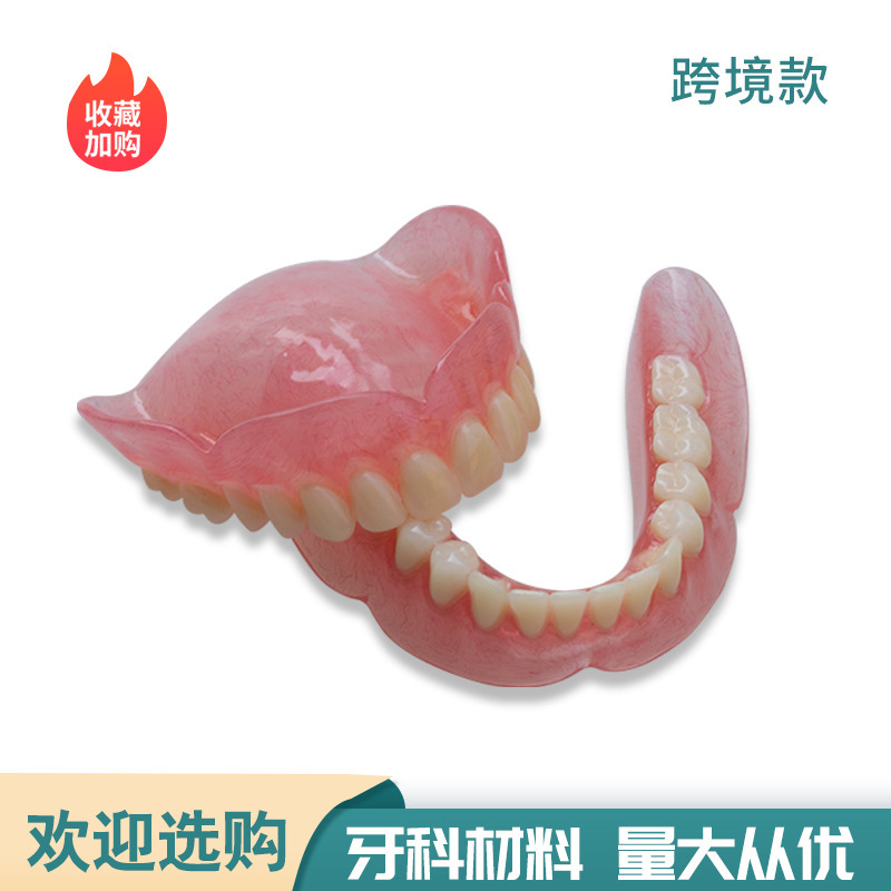 全口老年牙展示用品全口假牙活动牙可摘义齿全口牙齿模型医患沟通|undefined