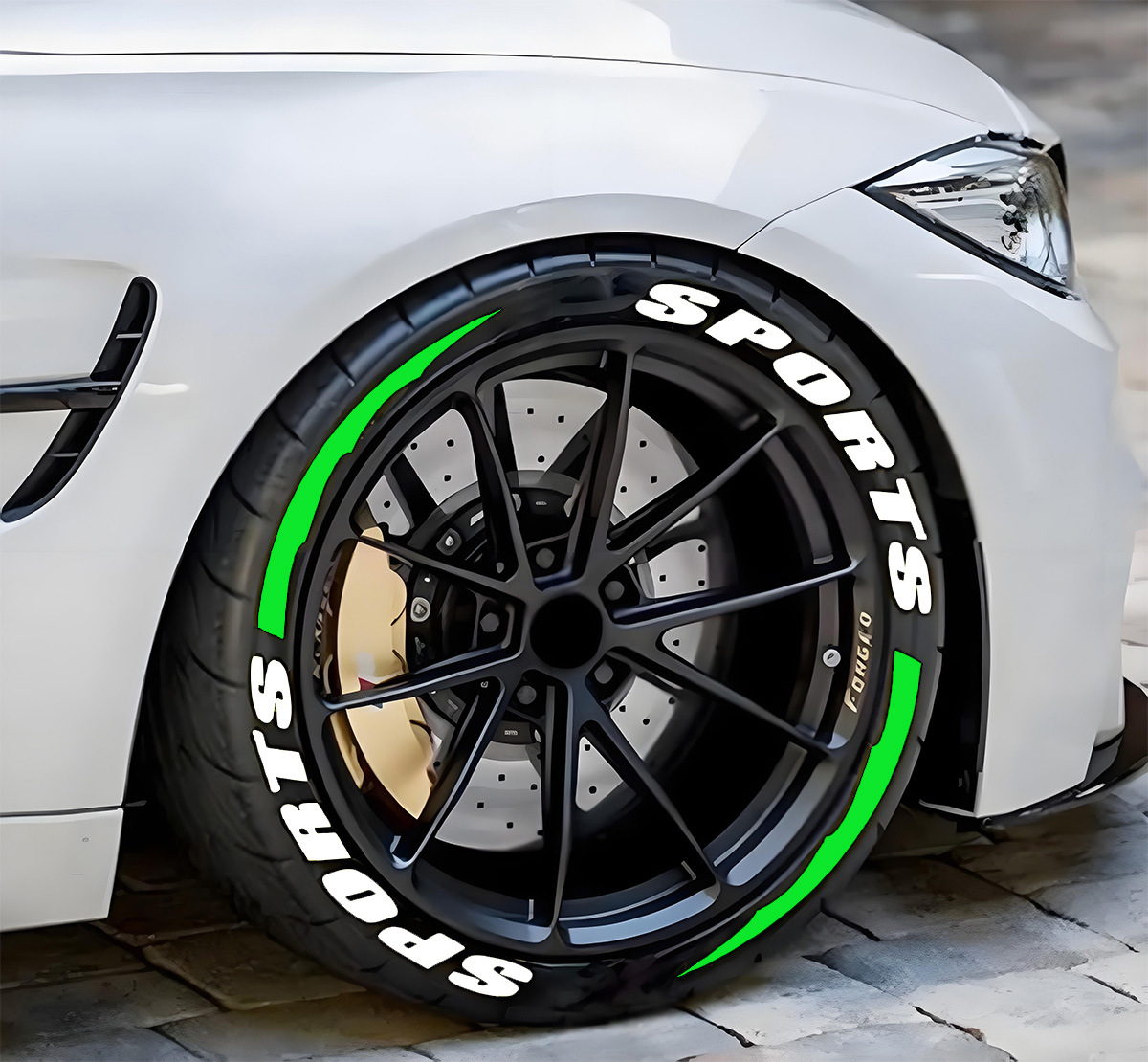 스포츠 화이트 + 그린 늑대 이빨