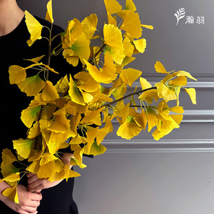 ���Q�؃r�Sɫ�y���~���滨 �����b�Y���l�L�����~�zӰ����