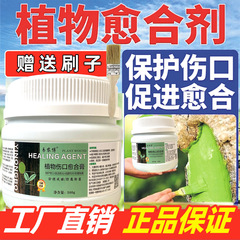 樹木の大木の傷口が癒合した果樹塗布剤植物塗膜盆栽枝接ぎ木封口補剤樹皮