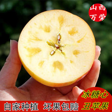 冰糖心大果 新鲜当季山西城临猗丑苹果水果斤整箱红富士平果包邮