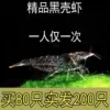 Black shell shrimp - 1 small size in ordinary packaging - full marks for details