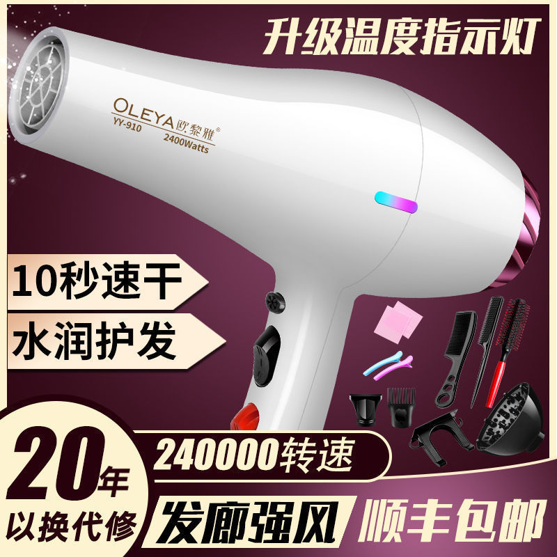 电吹风机家用大功率负离子护发强力发廊发型师专用大风力速干风筒