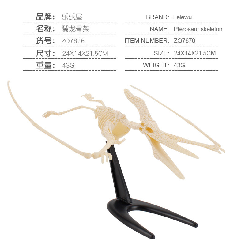 Transfronterizos de venta caliente simulación sólida modelo de cráneo de dinosaurio estático T. rex Velociraptor esqueleto arqueológico juguetes para niños