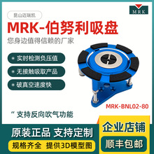 �~���P��Ŭ�����P������P��Ƭ늳�Ƭ�ǽ��|�A�����PMRK-BNL02-80