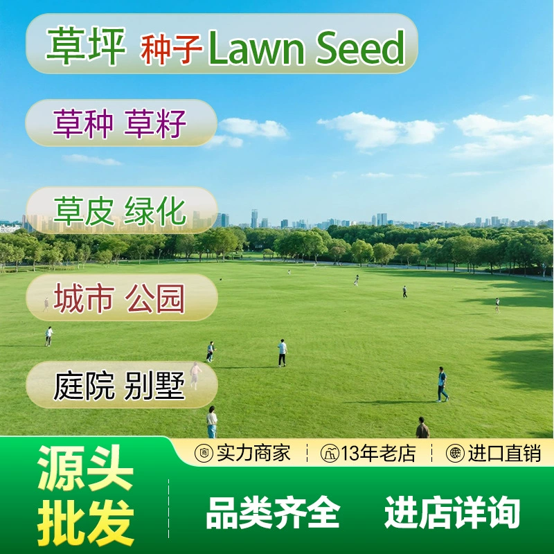 Прямые оптовые поставки семян газонных трав, семян для защиты склонов, семян для экологической инженерии, смешанных травяных смесей, всесезонной зеленой травы, семян для осенней посадки.