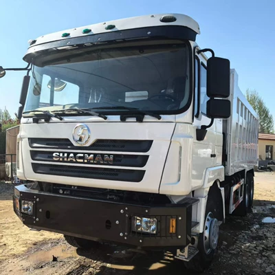 Exported to African countries, Shaanqi Delong Yük maşınları