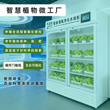 �������w�Nֲ�� �WУ�Ƽ��^�ЌW�w�ˮ��N�˙C