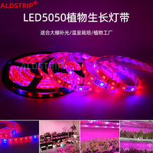 led 5050ƴ ֲﲹƴ12vν60һˮõ