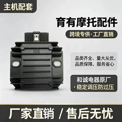 Source Factory Hecheng Electric electronic regulator