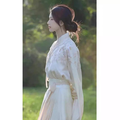 明製の漢服の新しい中国風の刺繍vネックのシャツの女性の春と秋冬の小さい背の馬のスカートの組み合わせの上着
