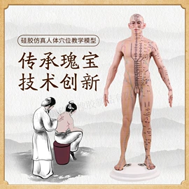 教学演示用品;医药教学器材;其他展示用品