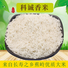 ���\���׽z����10���b�V�|���X������l�r�Ҵ���������հ��b