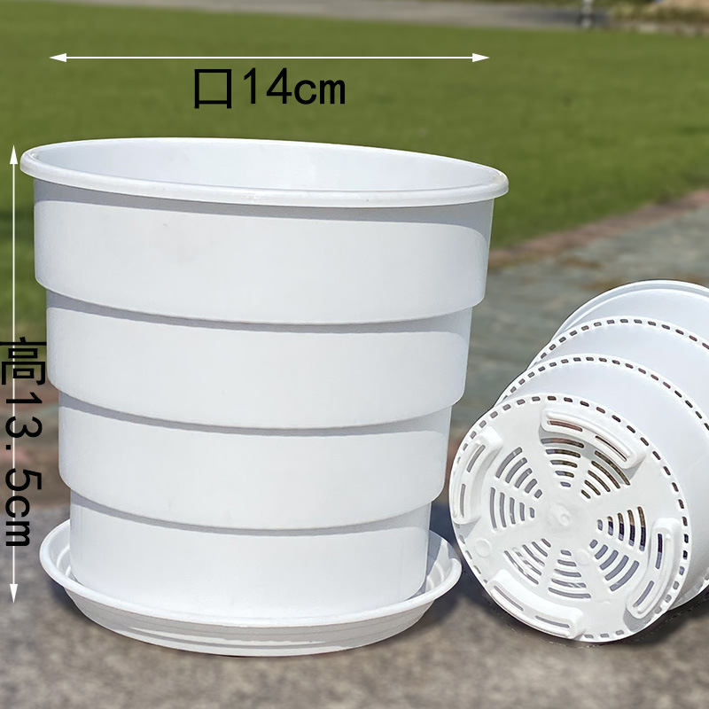 根をコントロールする通気性のある大型青山ガロンバラとアジサイの厚いプラスチック緑の植物腐敗防止蘭ポット耐久性のあるデスクトップ|undefined