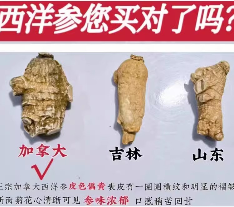 American Ginseng Root Xi Yang Shen Panax quinquefolius Whole Roots 500g Canadian Grown details