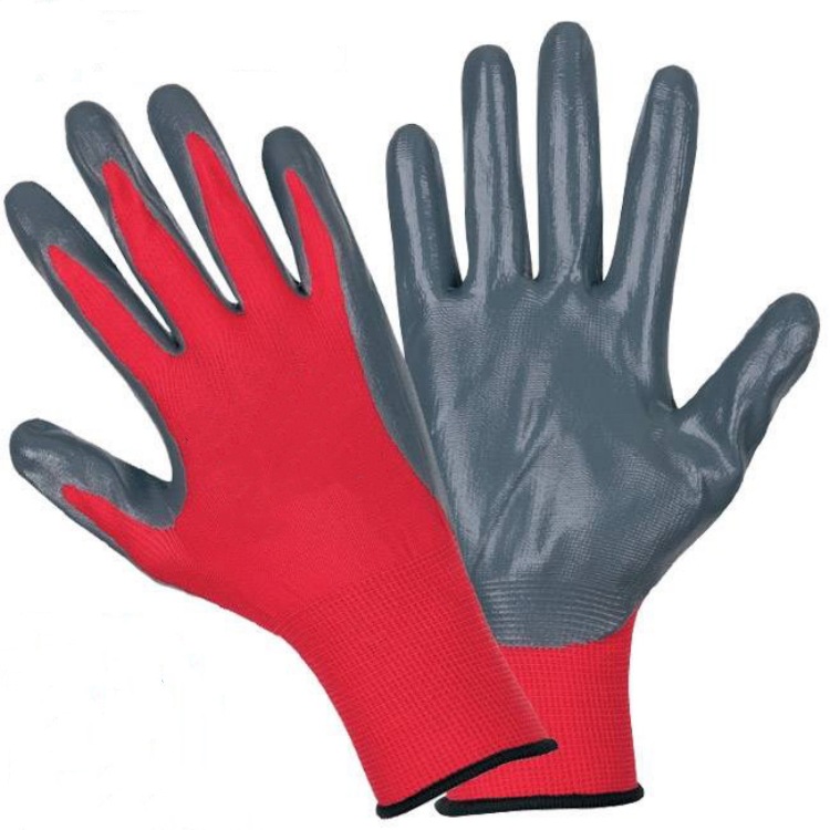 IMG_0298(20231029-081909)