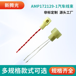 Amp172129-1 Automotive Wiring Harness Terminal Line Automotive Ambient Light Power Cord to Plug-In Led Connection Line