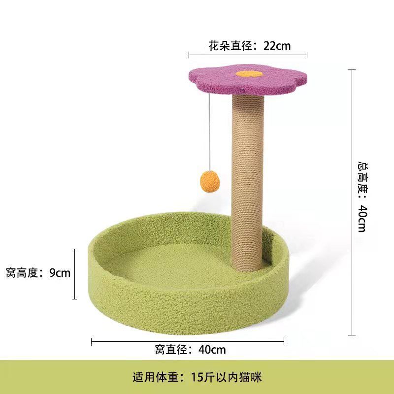 녹색 둥지 꽃