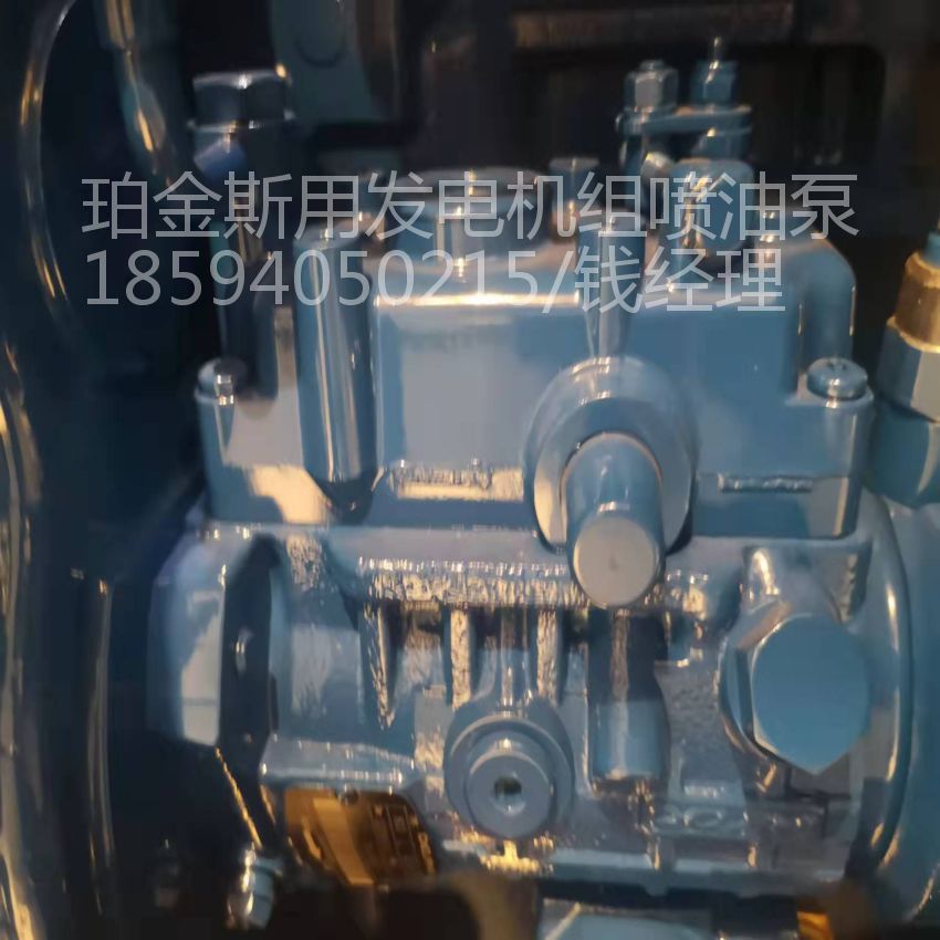 泵燃油泵高压燃油泵玉柴康明斯珀金斯三菱斗山发电机组用二手全新