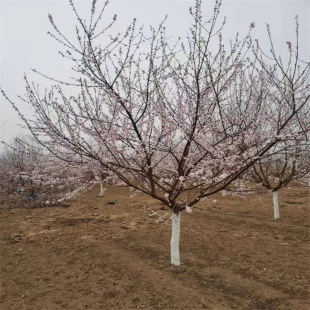 ����  2-18���� 1.5�׷�֧�c  �@�ֹ�·�G������  �|������