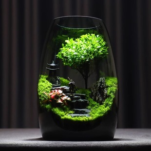 ♔ The Road to Success Large Moss Micro Landscape Ecological Bottle Creative Desktop Landscaping Green Plant Potted Plant Holiday Birthday Gift