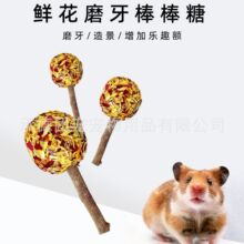 �������ݰ���������ĥ����С����ĥ����ʳ�}�����������������l