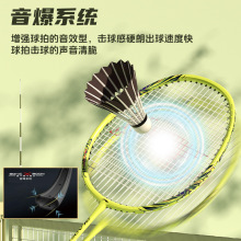羽毛球拍正品套装全碳素超轻专业款锋影小旋风雷霆小钢炮