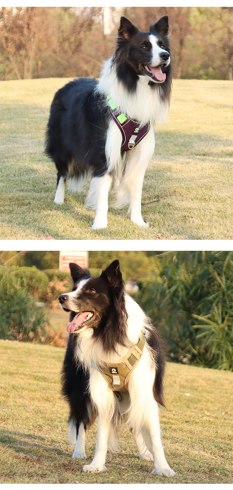 Reflective No-pull Dog Harness And Lead Set For Safety And Comfort_voghion.com