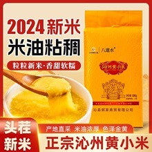 2025ɽ�������SС����С�׌�����������һ����ȴ��s�ZŴС���oʳ