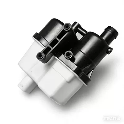 Auto Parts Fuel Leak Detection Pump Oe:0261222022 1613719349 670002246 (Fuel tank)