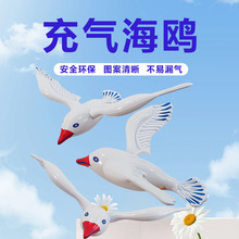 新款充气海鸥 加厚环保PVC充气玩具儿童玩具充气鹦鹉公仔厂家批发