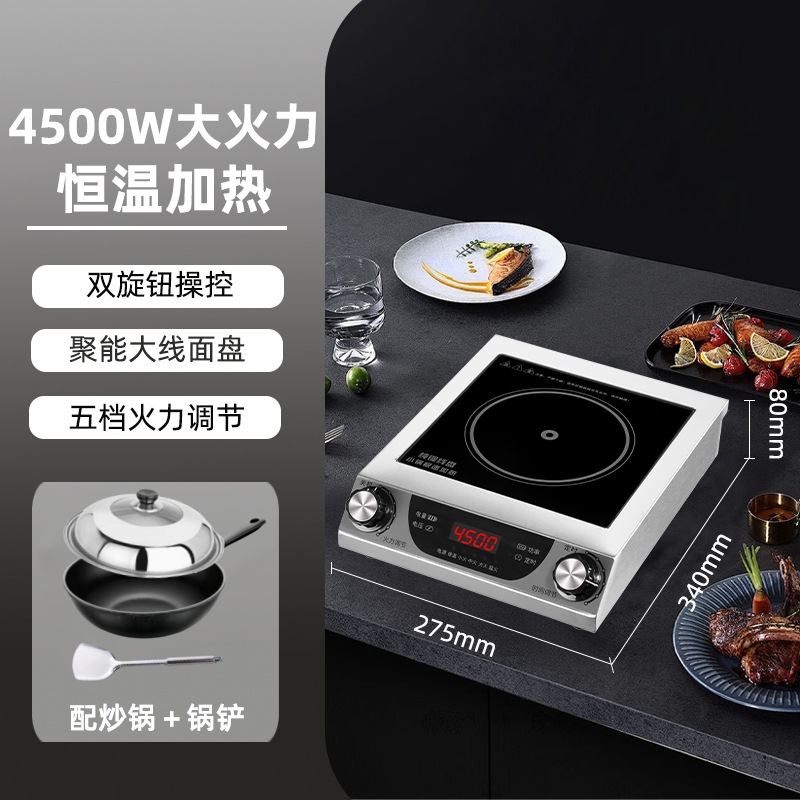 4500W 올스틸 플랫 더블 노브 상업용 패키지 2