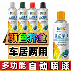 Automatic Hand-Operated Self-Spray Metal Anti-Rust Paint Car Special Paint Graffiti Black White Silver Paint Varnish