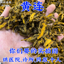 ������ �l1000g�S�B �y؛ �Ĵ��S�B�uצ�B �Sɏ��؛��؛��؛��؛