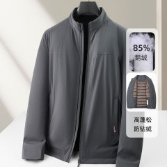 男式羽绒服2025秋冬白鹅绒保暖拉链立领版青年高奢商务羽绒外套潮